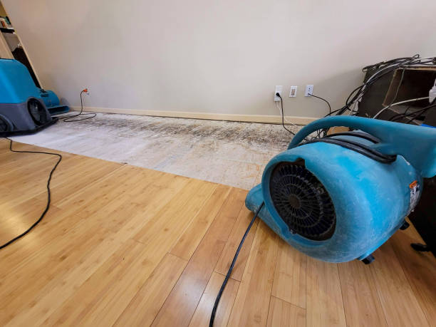 Professional Structural Drying technician working in Fruitland, IA